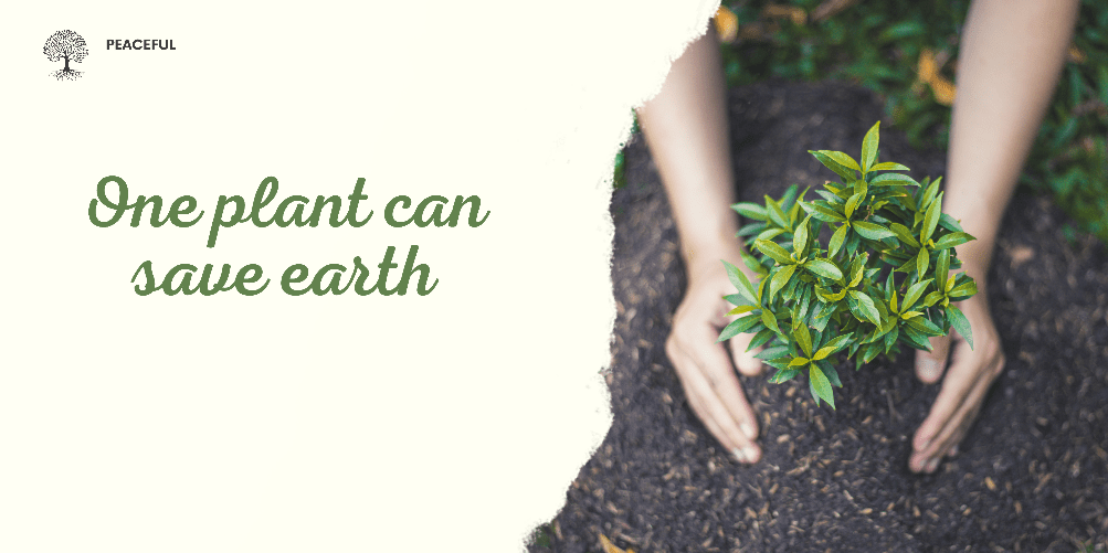 One plant can save our earth