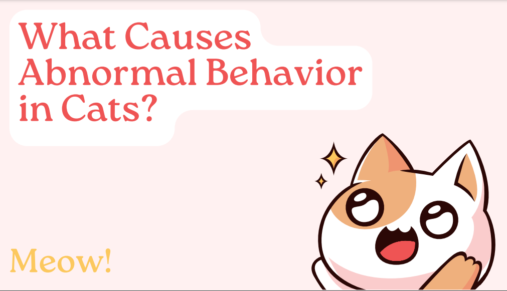 causes abnormal Behavior in cats