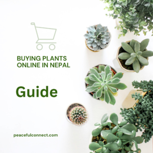Buying Plants Online in Nepal