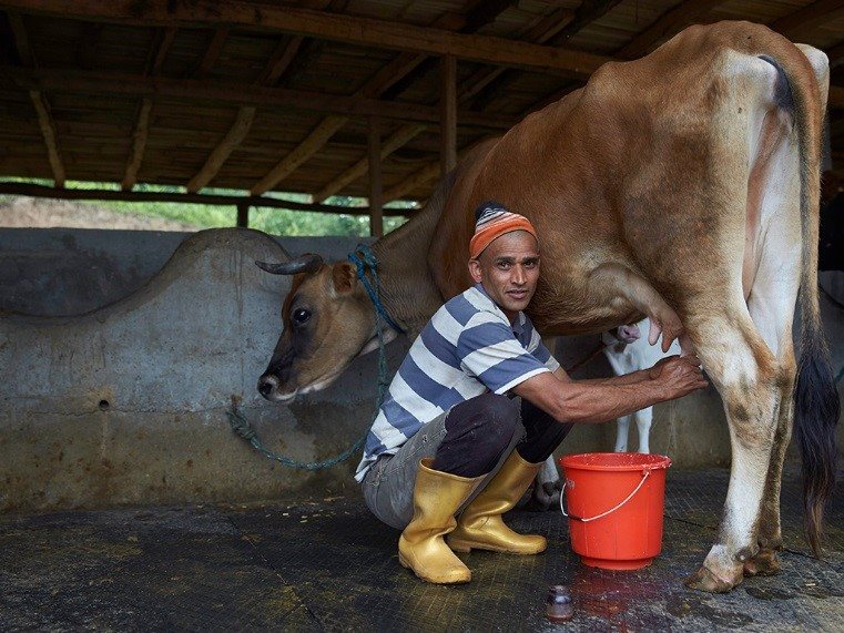 Nepali farmers